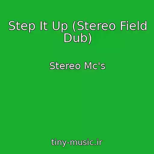 کاور آهنگ Step It Up (Stereo Field Dub) از Stereo Mc's