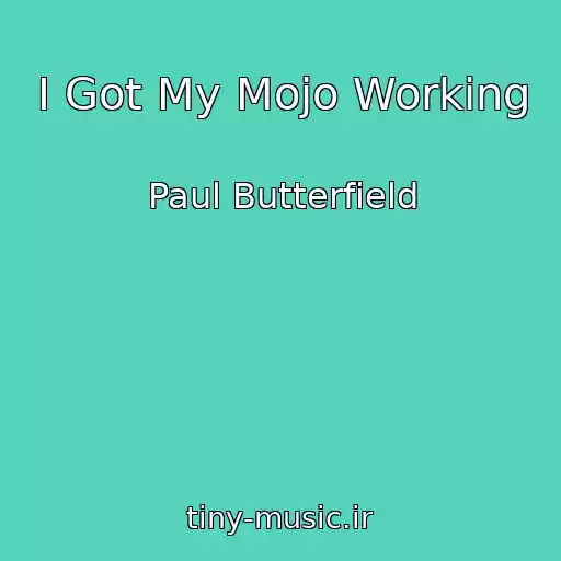 کاور آهنگ I Got My Mojo Working از Paul Butterfield