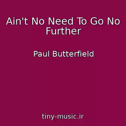 کاور آهنگ Ain't No Need To Go No Further از Paul Butterfield