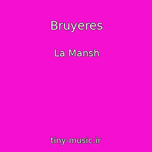 کاور آهنگ Bruyeres از La Mansh