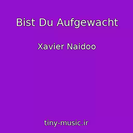 کاور آهنگ Bist Du Aufgewacht از Xavier Naidoo