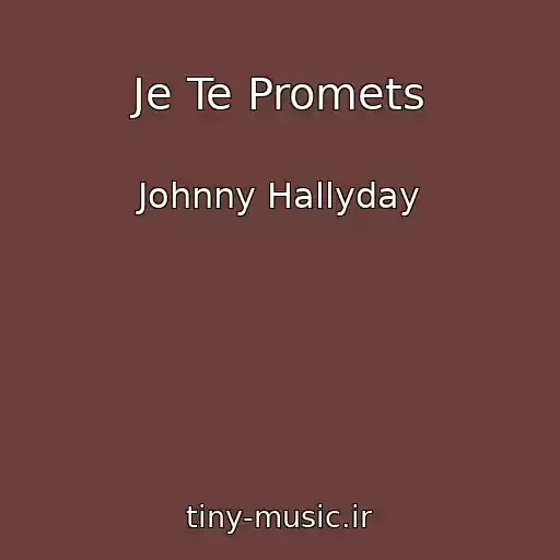 کاور آهنگ Je Te Promets از Johnny Hallyday