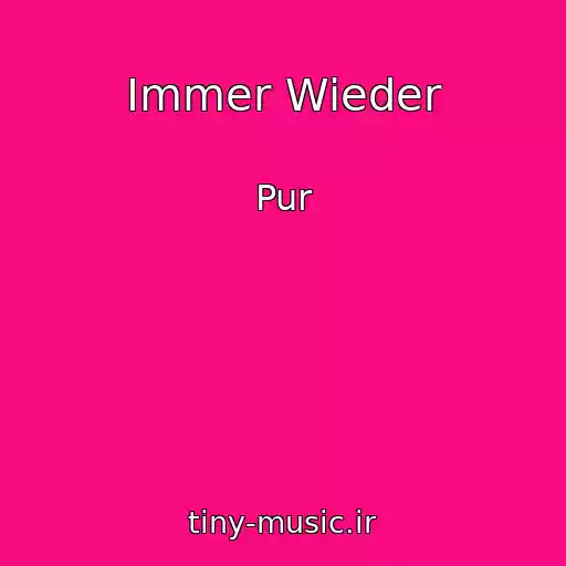 کاور آهنگ Immer Wieder از Pur