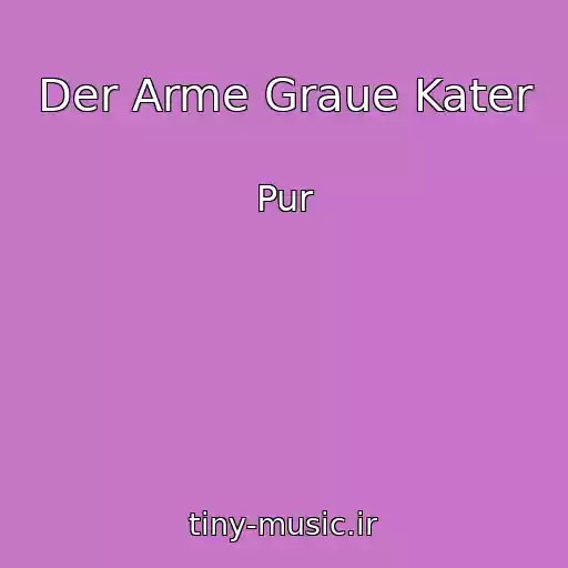 کاور آهنگ Der Arme Graue Kater از Pur