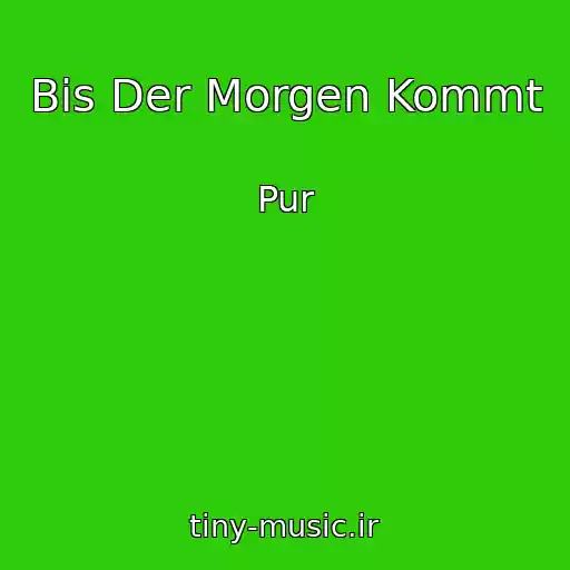 کاور آهنگ Bis Der Morgen Kommt از Pur