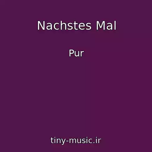 کاور آهنگ Nachstes Mal از Pur