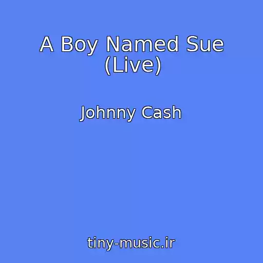 کاور آهنگ A Boy Named Sue (Live) از Johnny Cash