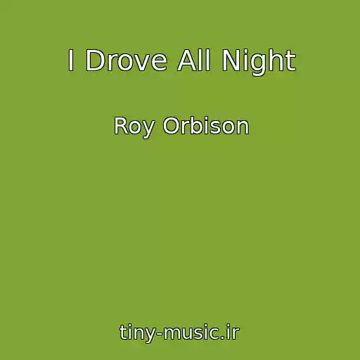 کاور آهنگ I Drove All Night از Roy Orbison