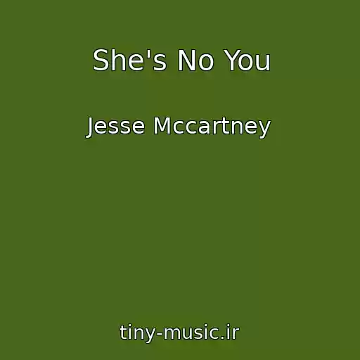 کاور آهنگ She's No You از Jesse Mccartney