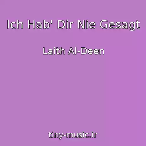 کاور آهنگ Ich Hab' Dir Nie Gesagt از Laith Al-Deen