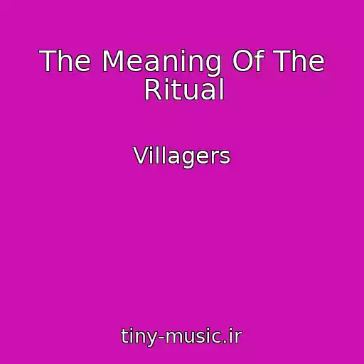 کاور آهنگ The Meaning Of The Ritual از Villagers