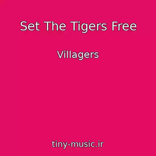 کاور آهنگ Set The Tigers Free از Villagers