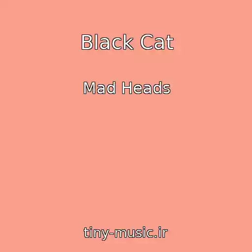 کاور آهنگ Black Cat از Mad Heads
