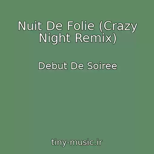 کاور آهنگ Nuit De Folie (Crazy Night Remix) از Debut De Soiree
