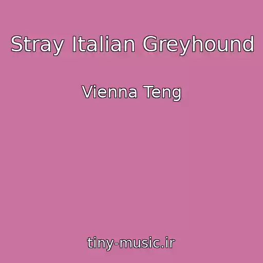 کاور آهنگ Stray Italian Greyhound از Vienna Teng