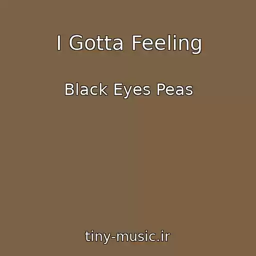 کاور آهنگ I Gotta Feeling از Black Eyes Peas