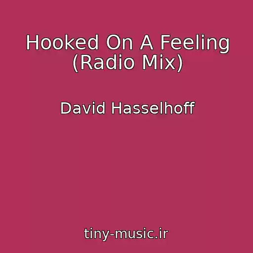 کاور آهنگ Hooked On A Feeling (Radio Mix) از David Hasselhoff