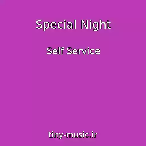 کاور آهنگ Special Night از Self Service