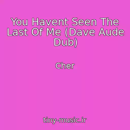 کاور آهنگ You Havent Seen The Last Of Me (Dave Aude Dub) از Cher