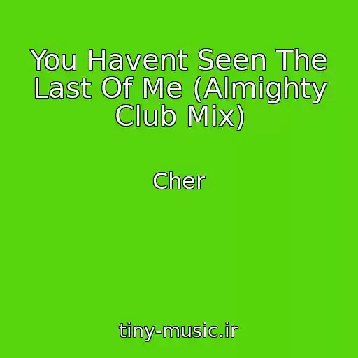کاور آهنگ You Havent Seen The Last Of Me (Almighty Club Mix) از Cher