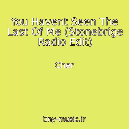 کاور آهنگ You Havent Seen The Last Of Me (Stonebrige Radio Edit) از Cher