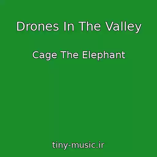 کاور آهنگ Drones In The Valley از Cage The Elephant
