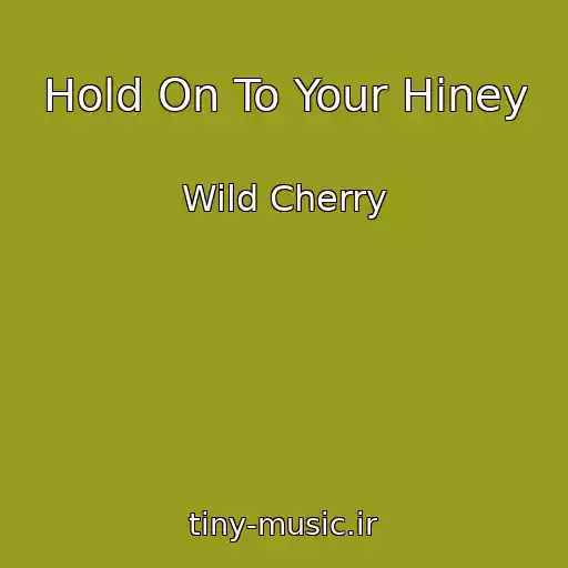 کاور آهنگ Hold On To Your Hiney از Wild Cherry