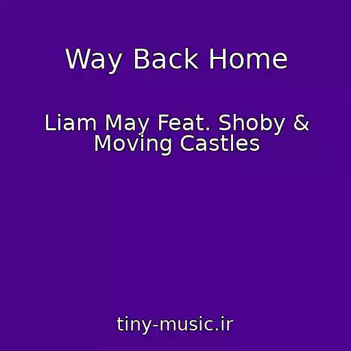 کاور آهنگ Way Back Home از Liam May Feat. Shoby & Moving Castles