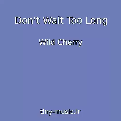 کاور آهنگ Don't Wait Too Long از Wild Cherry