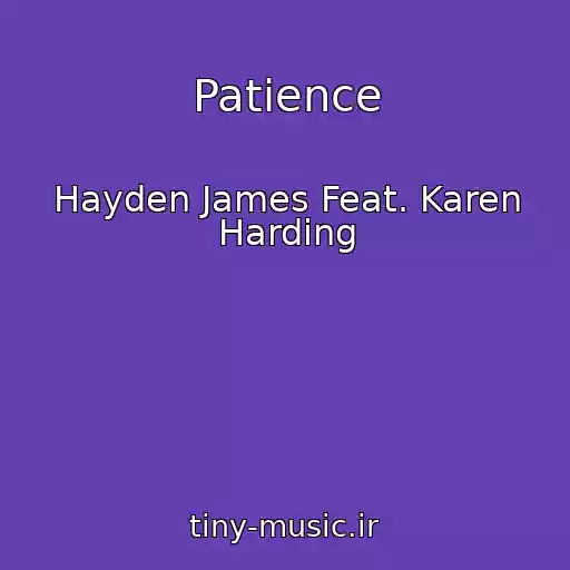 کاور آهنگ Patience از Hayden James Feat. Karen Harding