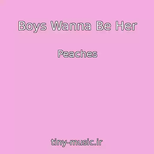 کاور آهنگ Boys Wanna Be Her از Peaches