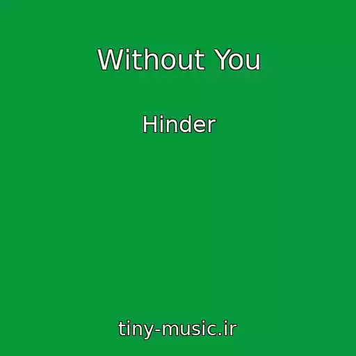 کاور آهنگ Without You از Hinder
