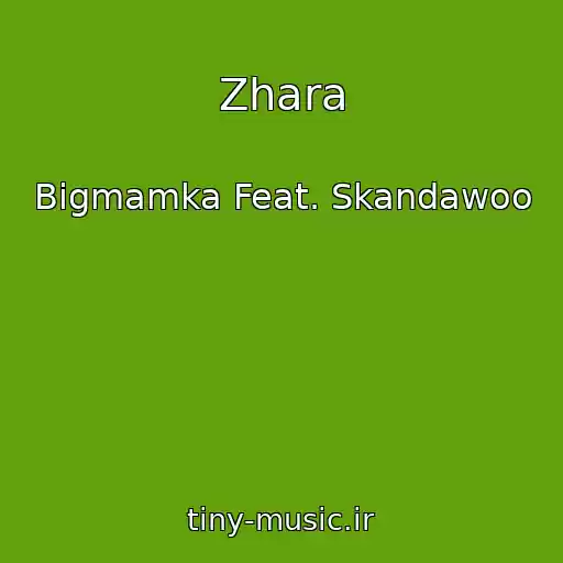 کاور آهنگ Zhara از Bigmamka Feat. Skandawoo