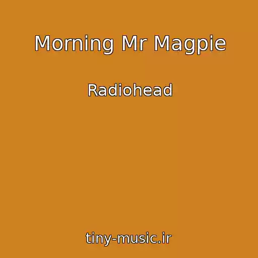 کاور آهنگ Morning Mr Magpie از Radiohead