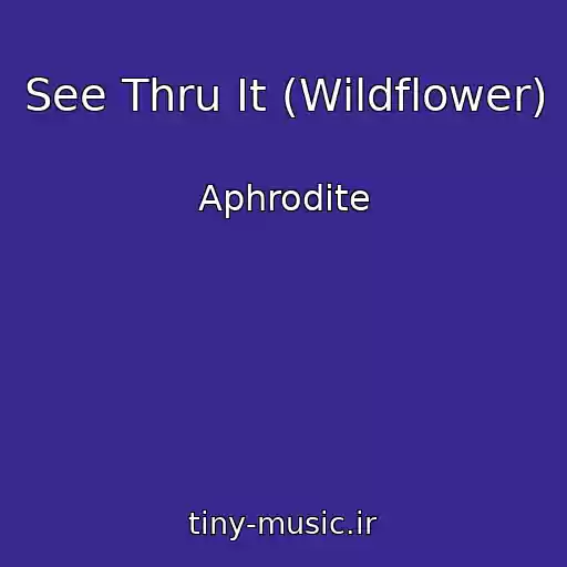کاور آهنگ See Thru It (Wildflower) از Aphrodite