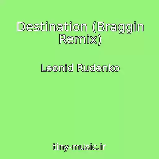 کاور آهنگ Destination (Braggin Remix) از Leonid Rudenko