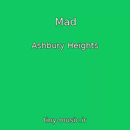 کاور آهنگ Mad از Ashbury Heights