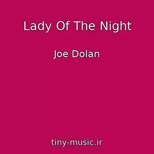 کاور آهنگ Lady Of The Night از Joe Dolan