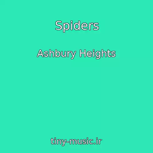کاور آهنگ Spiders از Ashbury Heights