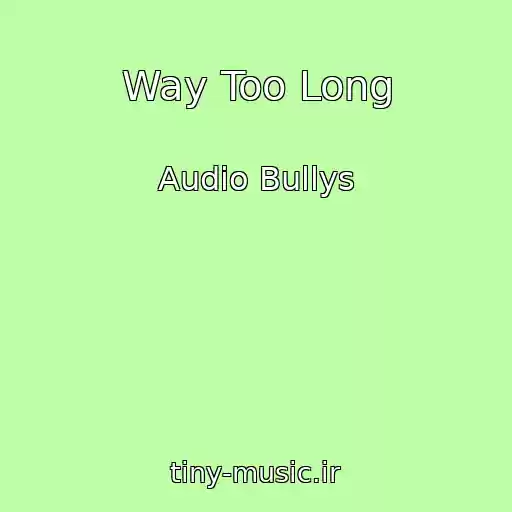 کاور آهنگ Way Too Long از Audio Bullys