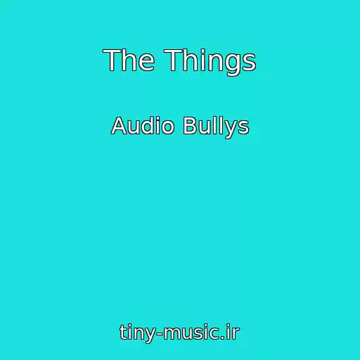 کاور آهنگ The Things از Audio Bullys