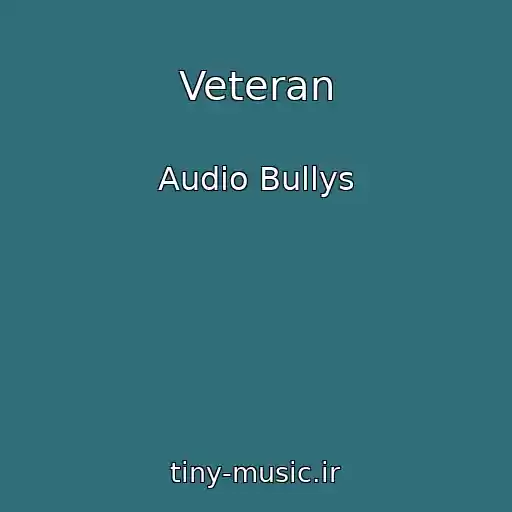 کاور آهنگ Veteran از Audio Bullys