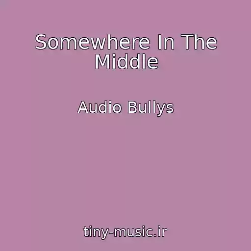 کاور آهنگ Somewhere In The Middle از Audio Bullys
