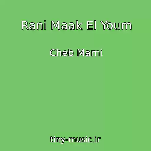 کاور آهنگ Rani Maak El Youm از Cheb Mami