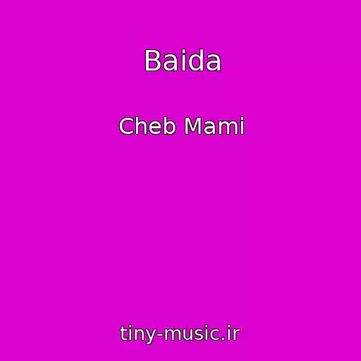 کاور آهنگ Baida از Cheb Mami