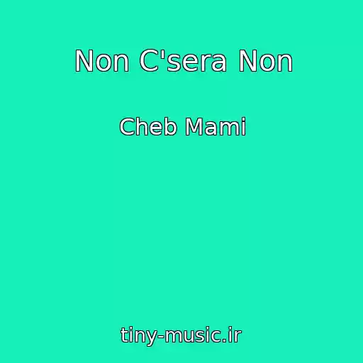 کاور آهنگ Non C'sera Non از Cheb Mami