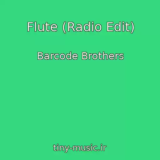 کاور آهنگ Flute (Radio Edit) از Barcode Brothers