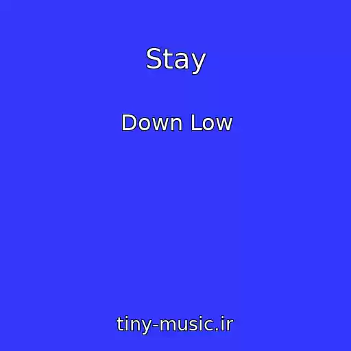 کاور آهنگ Stay از Down Low