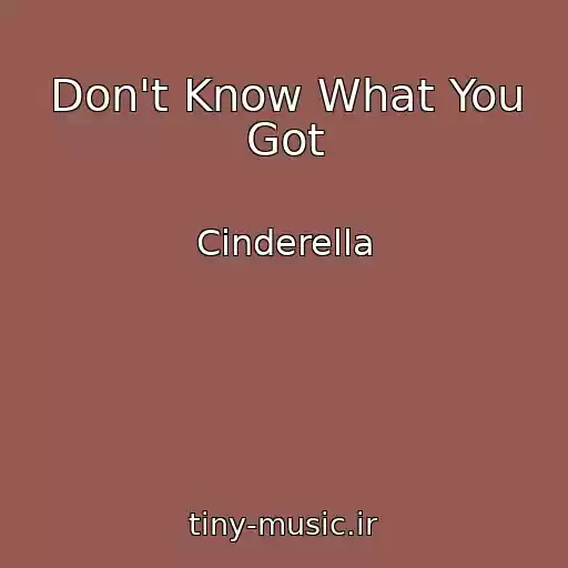 کاور آهنگ Don't Know What You Got از Cinderella