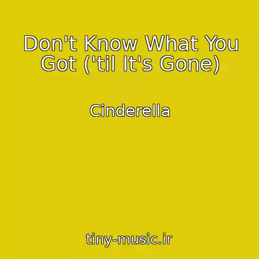 کاور آهنگ Don't Know What You Got ('til It's Gone) از Cinderella